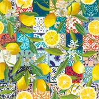 Tappeto Vietri Lemon Color 70x180 cm